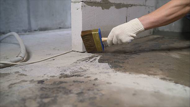 24/7 Emergency Crawl Space Encapsulation experts in Mountainside, NJ
